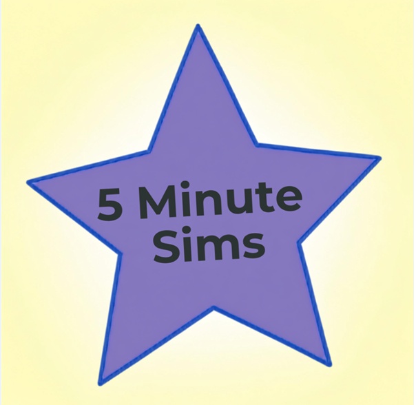 5 minute sims logo